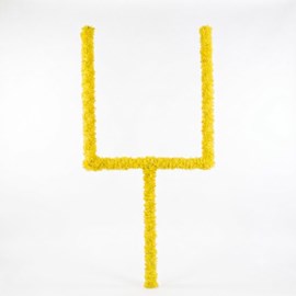 Goal Post Parade Float Kit